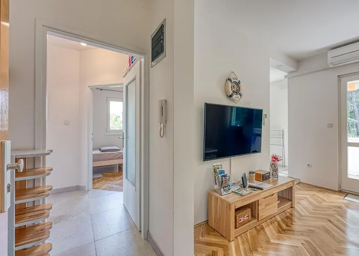 Apartment Pavluk With Balcony Porec